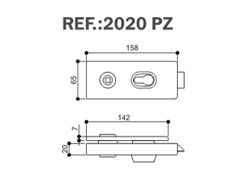 2020-PZ详